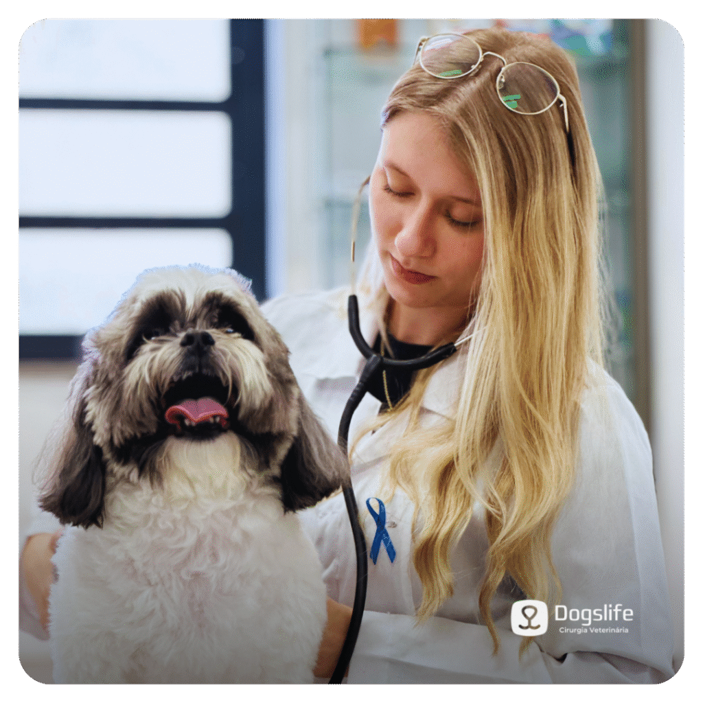 consultas-dogs-life-vet-e-shop-clinica-veterinaria-24h-caxias-do-sul-rs