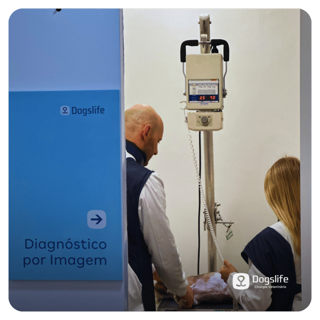 diagnostico-por-imagem-dogs-life-vet-e-shop-clinica-veterinaria-24h-caxias-do-sul-rs